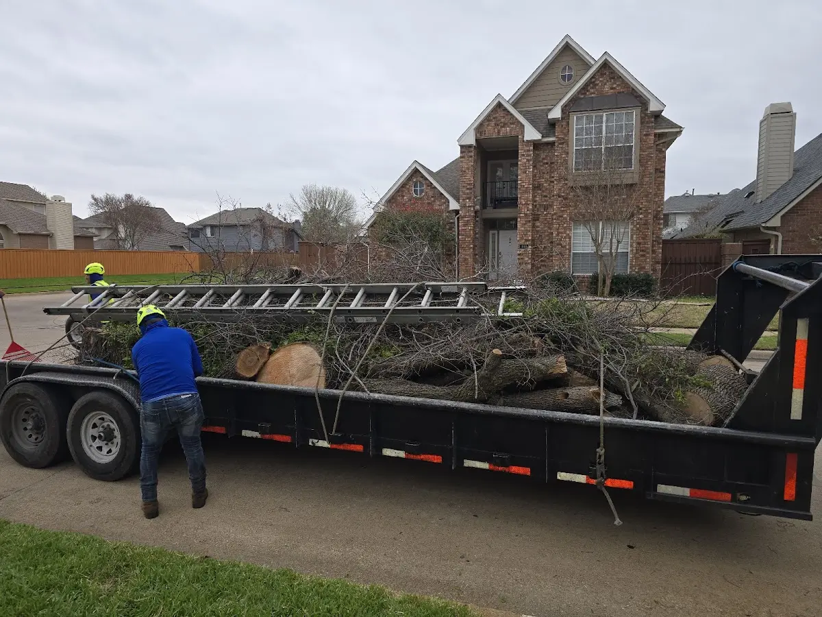 Expert Tree Fertilization with proper safety equipment in Indianola